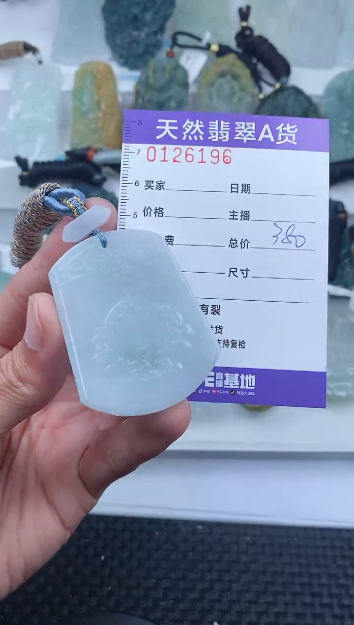 【闪购商品】翡翠颈饰未镶嵌        196