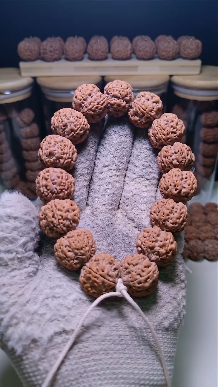 手串金刚菩提꧁****꧂07 粗筋双龙22