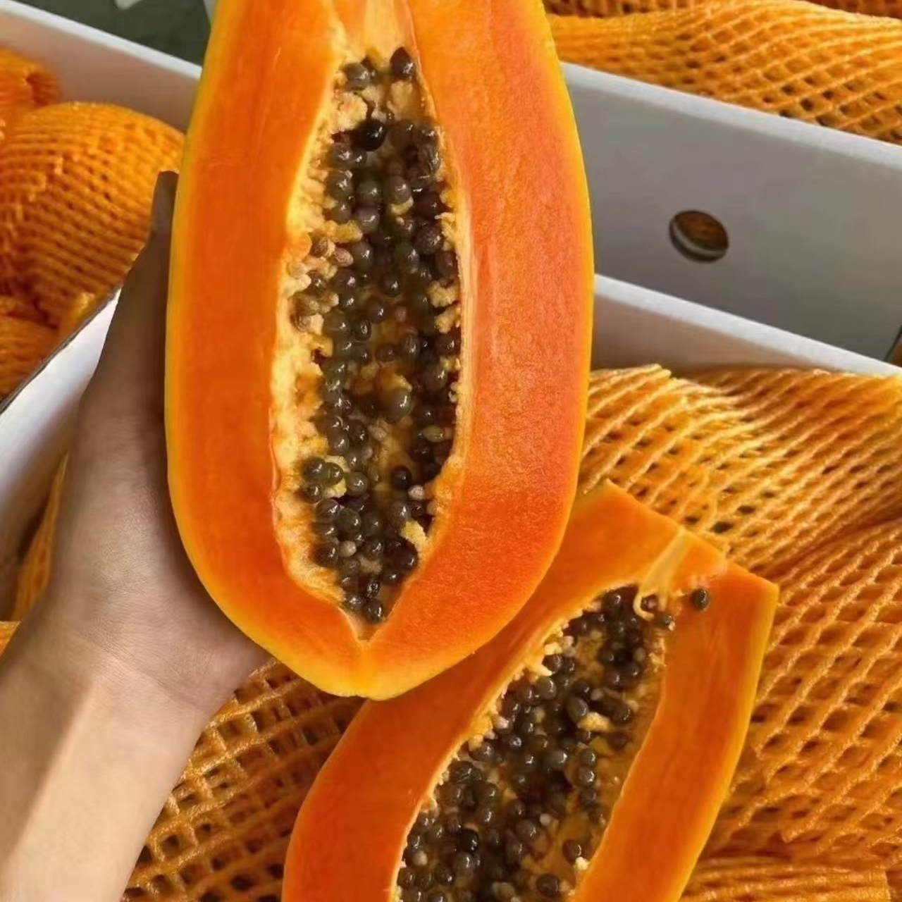 树熟牛奶木瓜-一个约1.0-1.1斤左右云南省