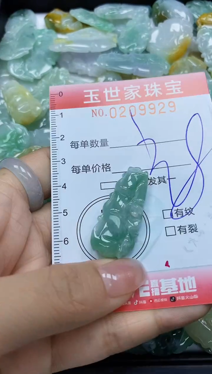 【闪购商品】翡翠颈饰未镶嵌闪购0209929