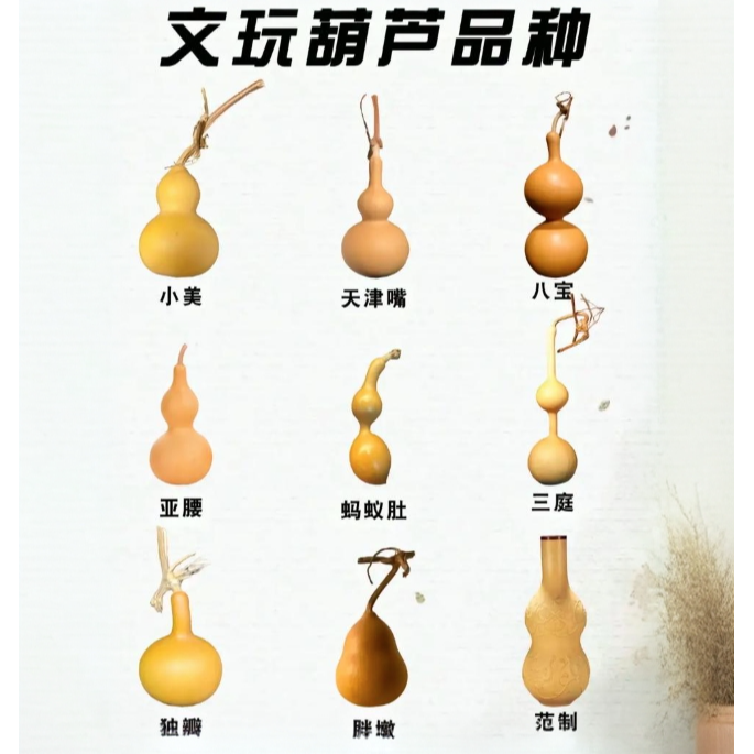 天然小葫芦手把件文玩带龙头可盘玩传统开口大小自然（多样性发货）