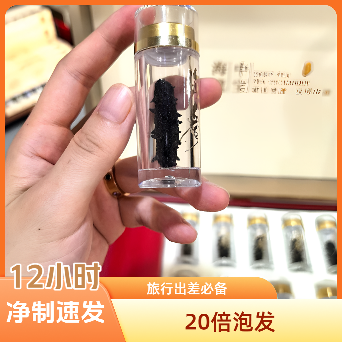 福匠来了【国特速发参旅】20倍速发净制纯淡干海参礼盒