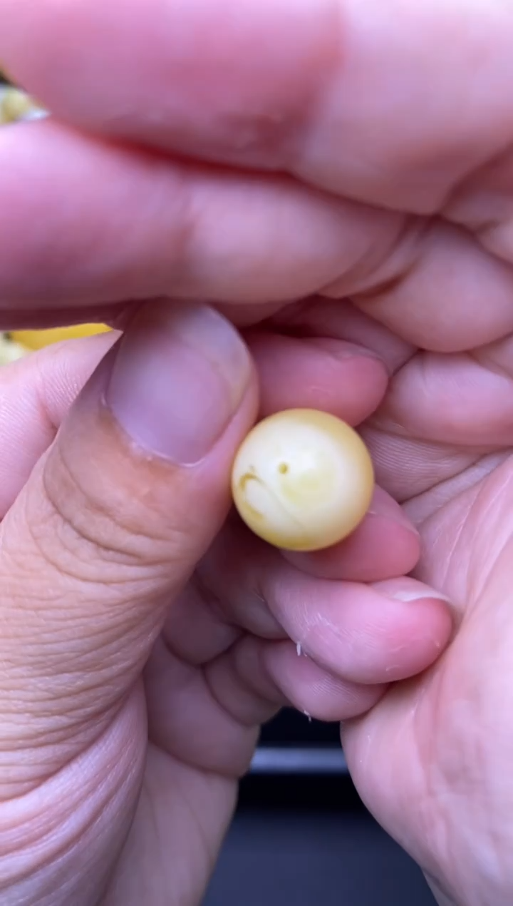 裸石琥珀未镶嵌大小姐珠宝严选59