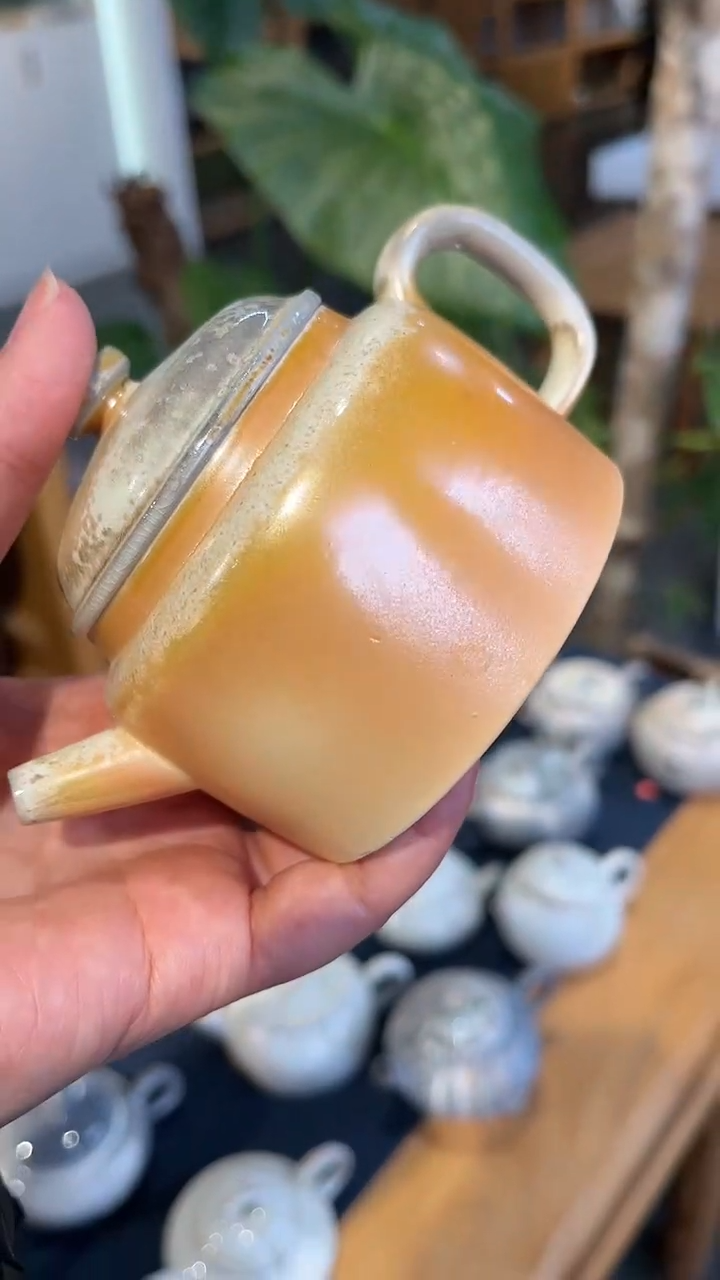 【闪购商品】壶487号容量175ML壶  