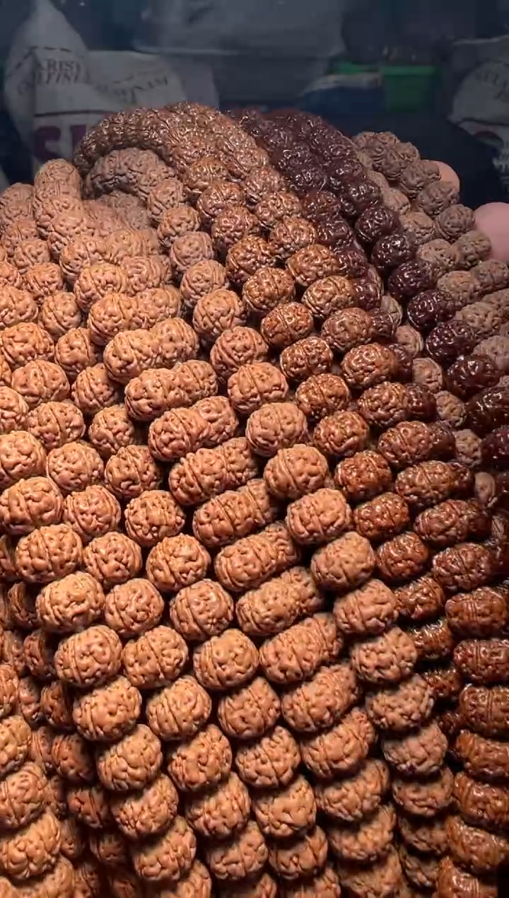 手串金刚菩提无利润超头精挑老树王108-10mm