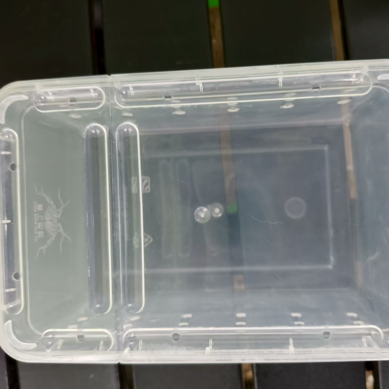 爬宠饲养盒适用于蜘蛛角蛙蜗牛守宫乌龟寄居蟹等