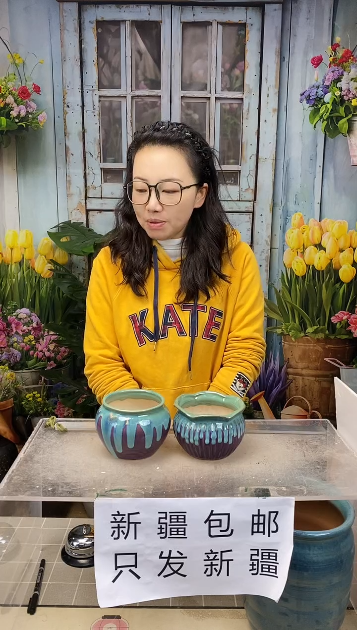 【闪购商品】红陶福利蓝紫陶盆两个装
