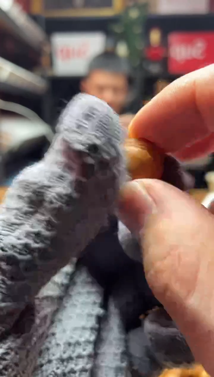 手串猴头核桃025  单籽 雕刻 福利