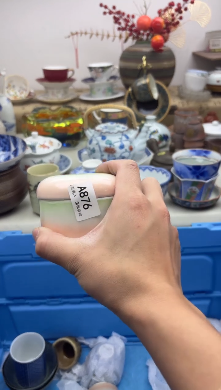 【闪购商品】碟876A...........