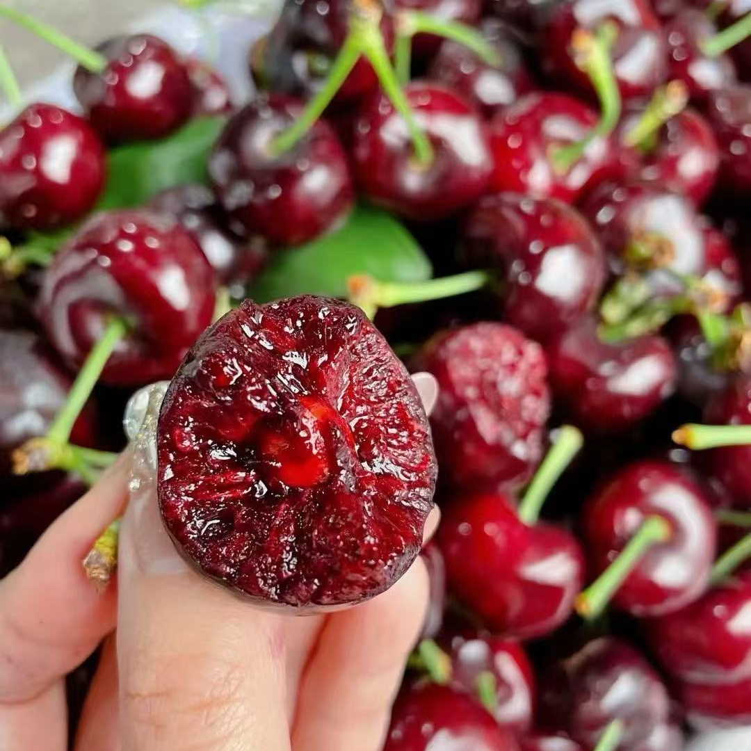 XC智利进口海运车厘子【顺丰京东包邮】2J-4J桑提娜原箱内附果径卡