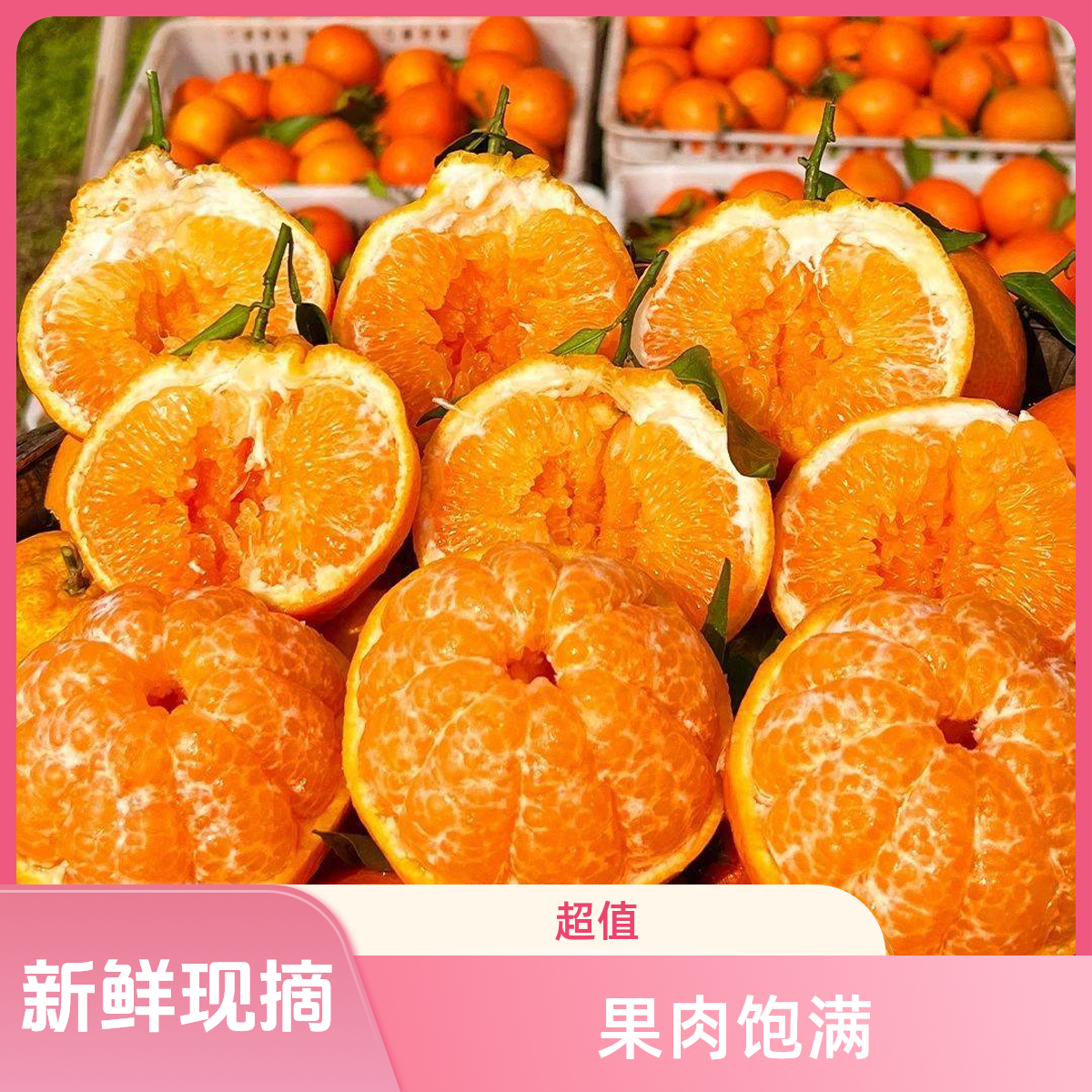 正宗春见耙耙柑次日达现摘发货橘子丑桔子新鲜应季水果四川省