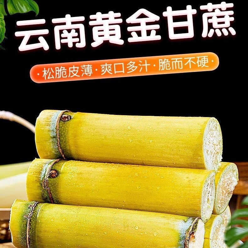 云南黄金甘蔗新鲜时令水果现砍薄皮清甜多汁产地直发