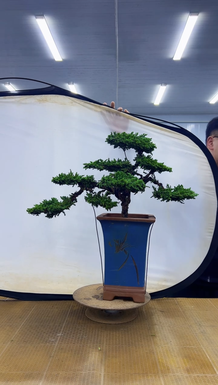 000000000000000000000