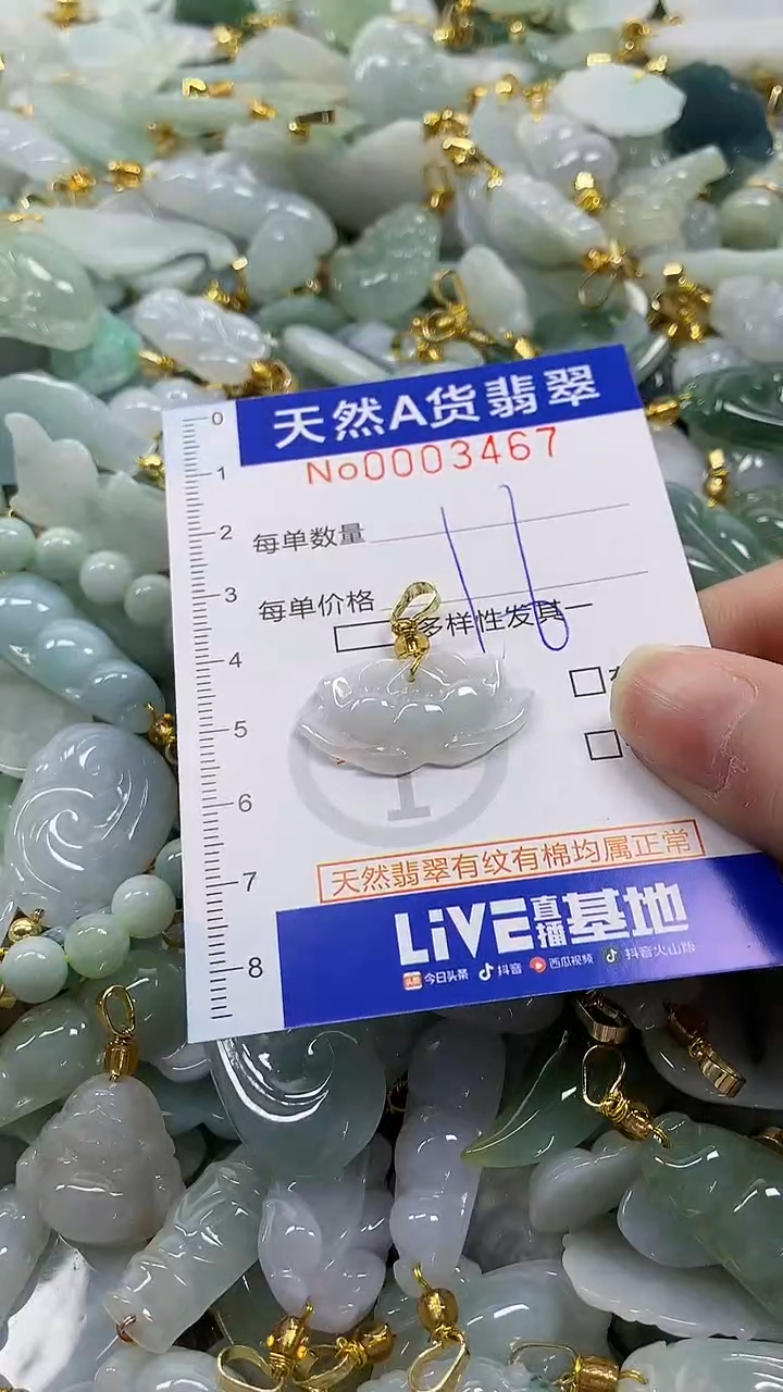 颈饰未镶嵌翡翠纯天然a货翡翠