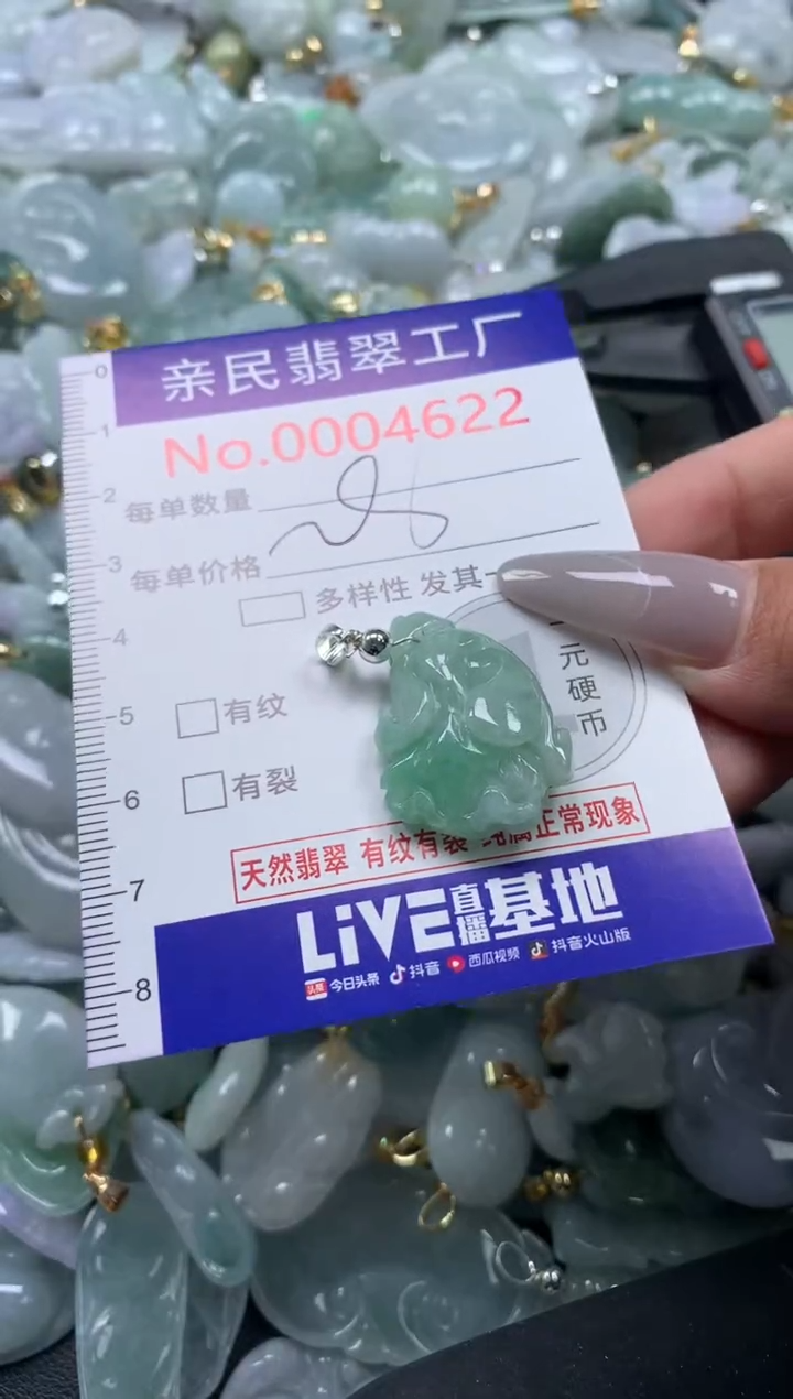 颈饰未镶嵌翡翠4622