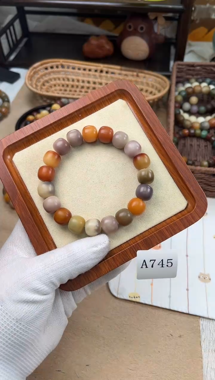 手串菩提根/象牙果a745卡14 干磨孔一般万圣家族