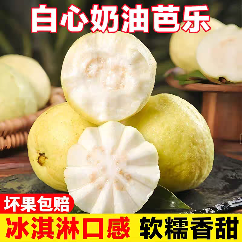 福建顺丰奶油芭乐白心番石榴现摘现发新鲜软糯水果孕妇芭乐果