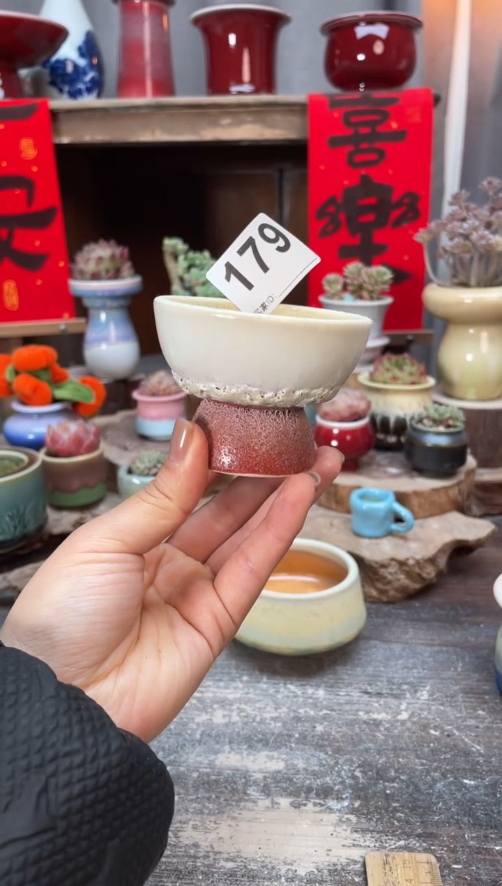 【闪购商品】摆件179知木小芳花盆