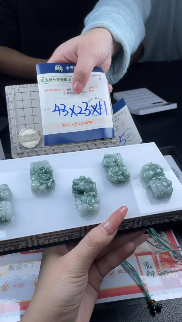 【闪购商品】翡翠挂件未镶嵌貔貅FL8配绳/多样性发其一CP