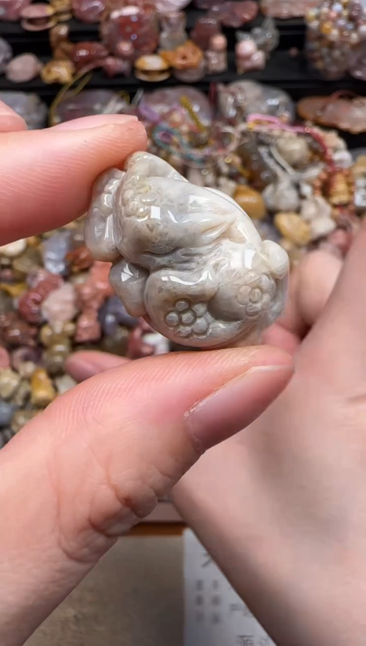 硅化珊瑚（珊瑚玉）未镶嵌颈饰460