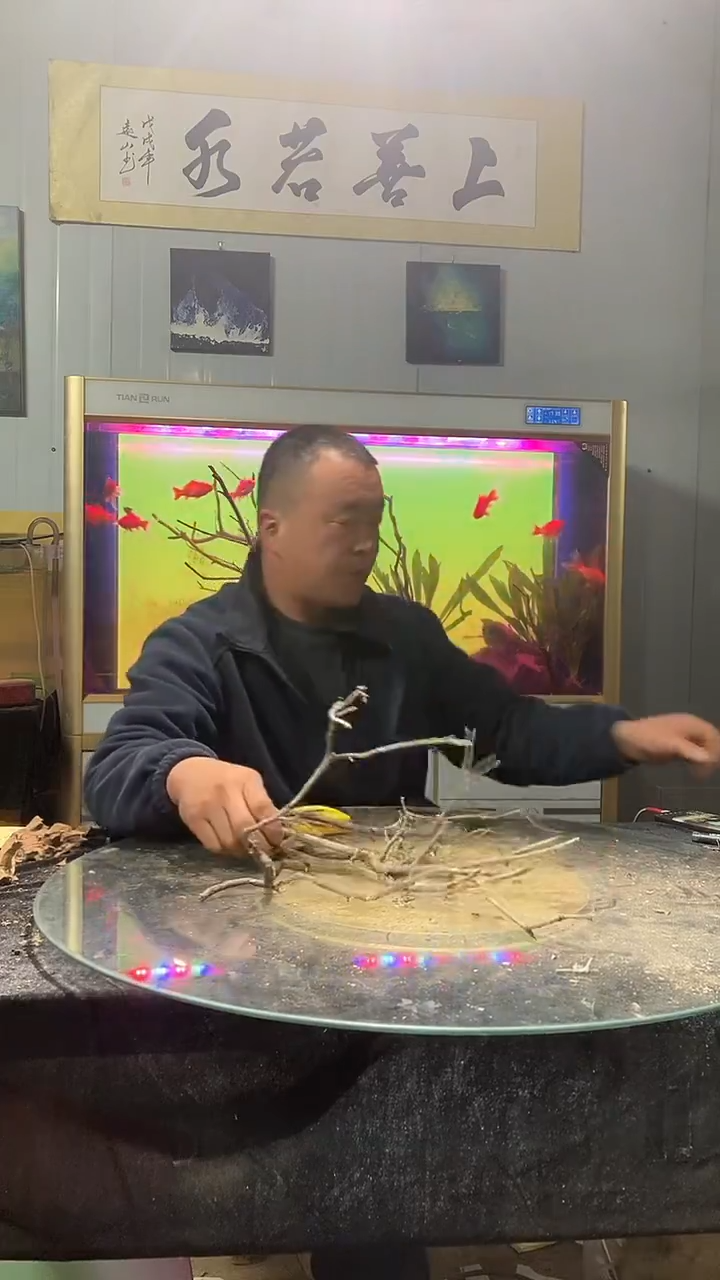 直播间黄栎木128号