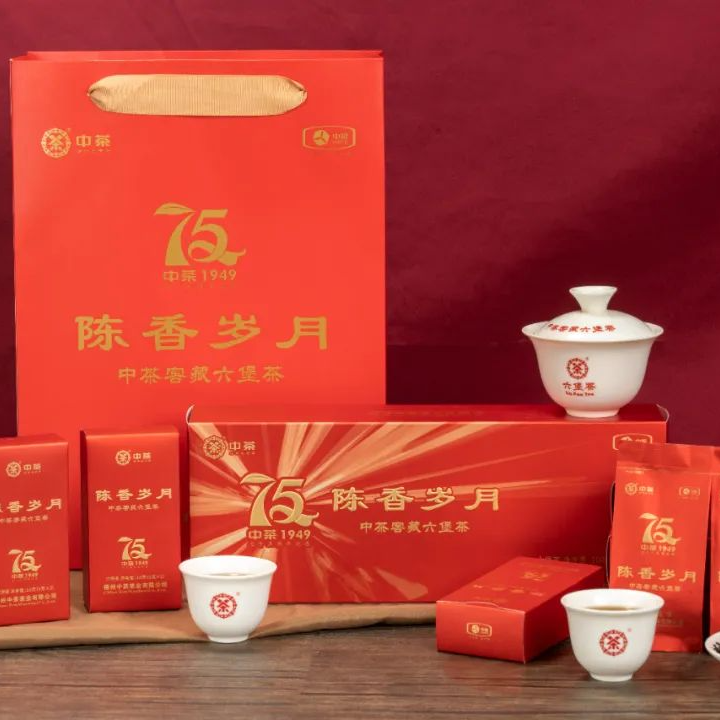 【陈香岁月】中茶窖藏六堡2019年陈化一级100g广西盒装