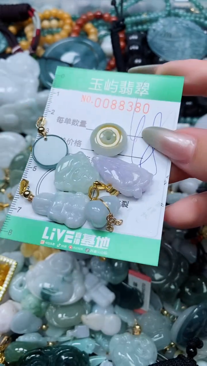 【闪购商品】翡翠颈饰未镶嵌闪购0088380