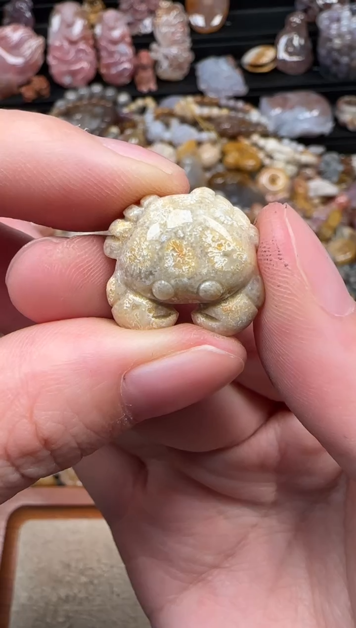 颈饰未镶嵌硅化珊瑚（珊瑚玉）112