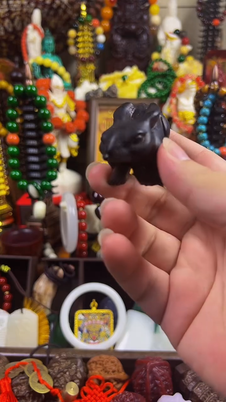 木 主播推荐！主播推荐！！！