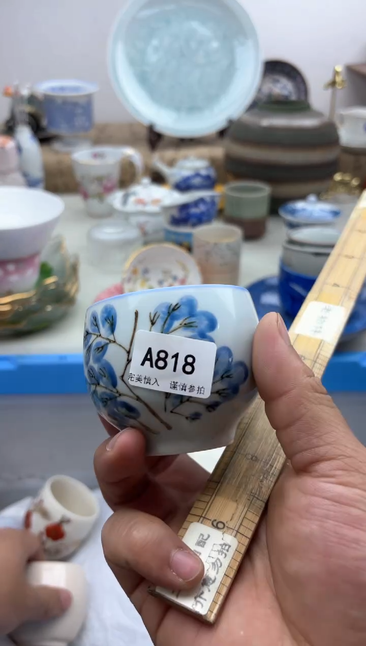 【闪购商品】碟A818............