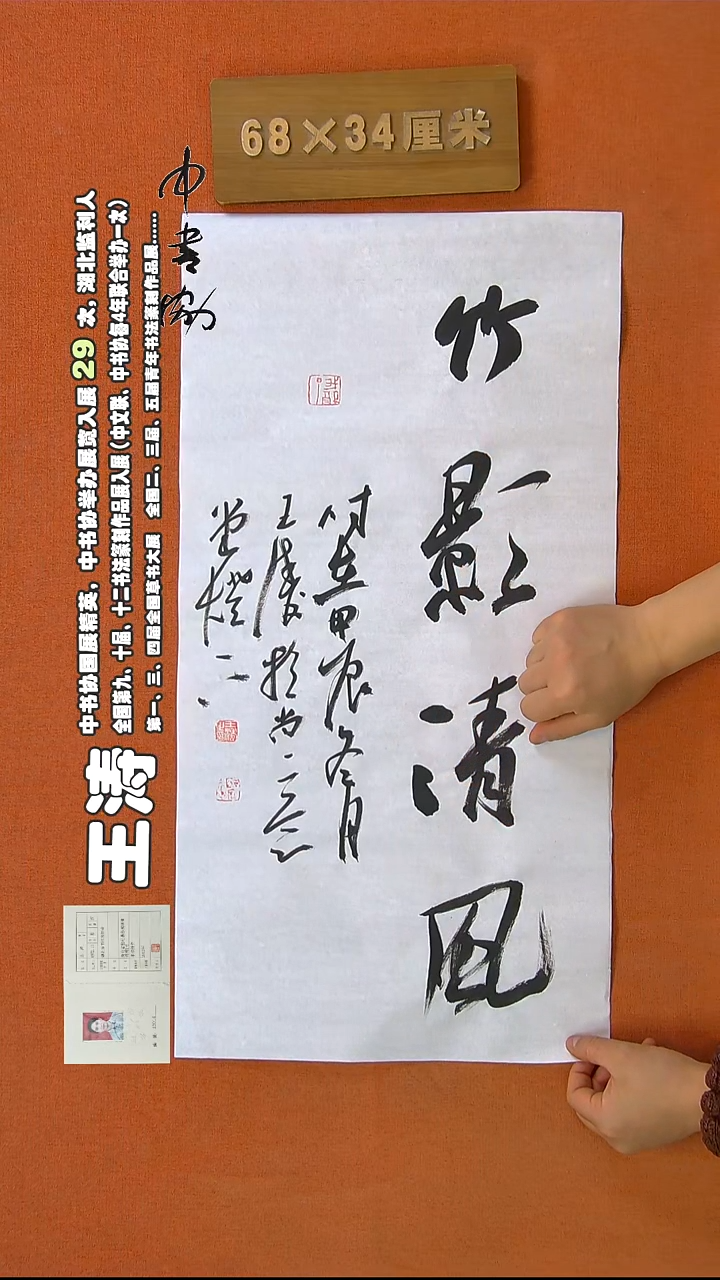 【闪购商品】书法229王涛书法作品