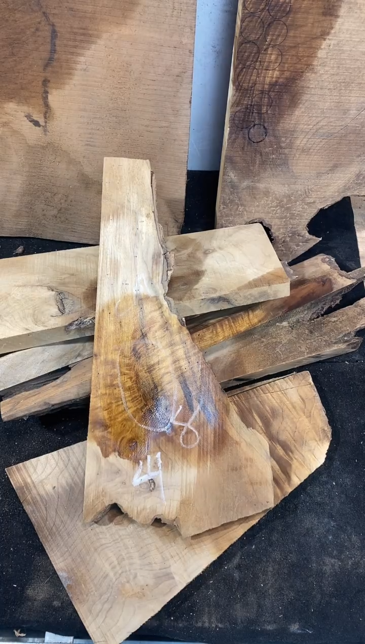 山*南金丝楠小叶桢楠1