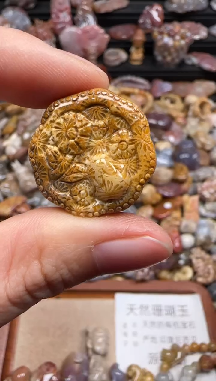 【闪购商品】硅化珊瑚（珊瑚玉）颈饰未镶嵌497