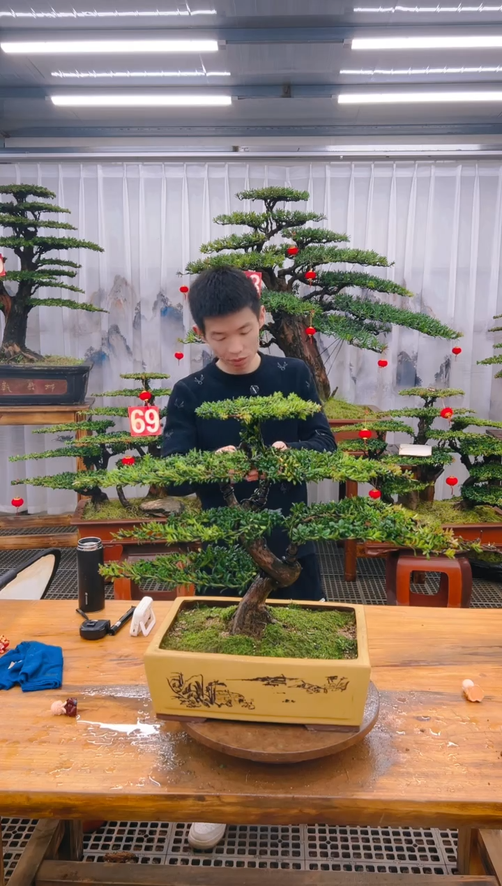 【闪购商品】紫砂精品盆景直播间一物一拍