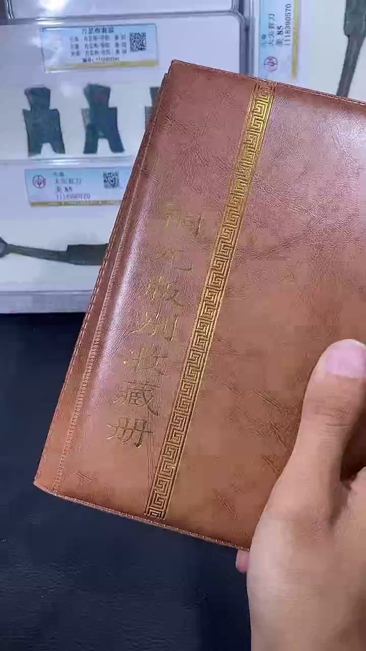【闪购商品】金琪珍铜元版别册