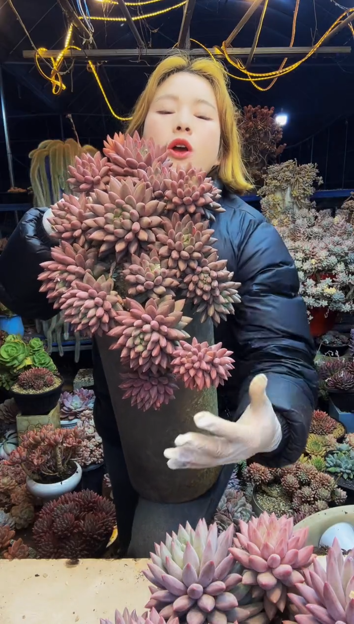 大号虞姬美人脱土包邮