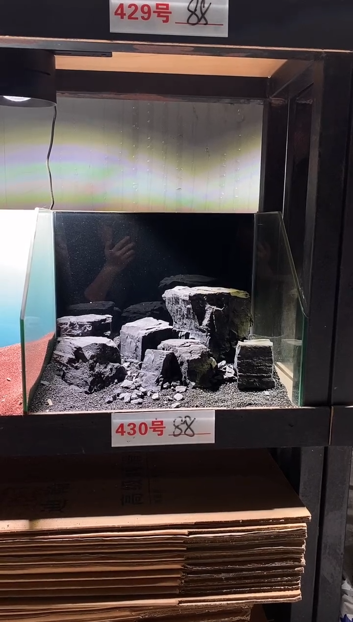 430号鱼缸造景（不含底砂） 