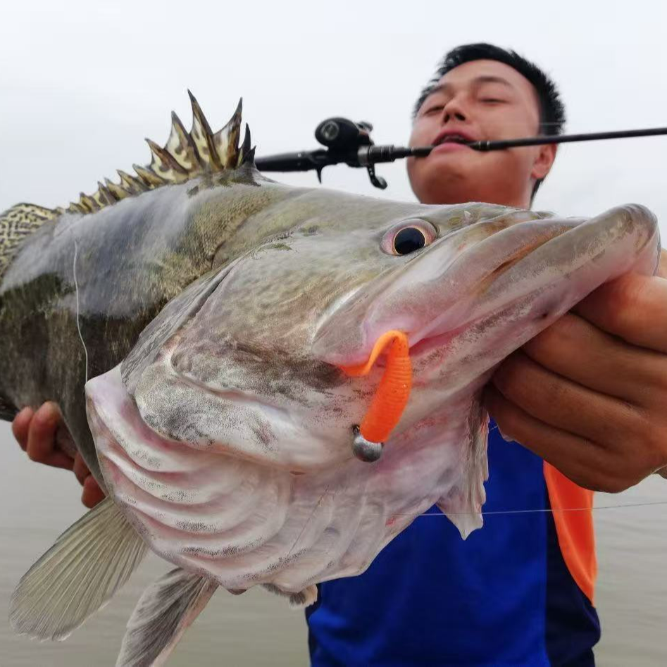 双11路亚竿清货专用链接