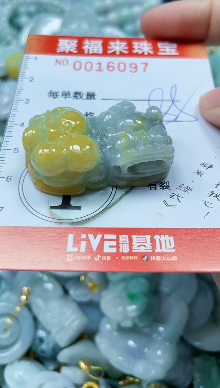 【闪购商品】翡翠颈饰未镶嵌闪购0016097