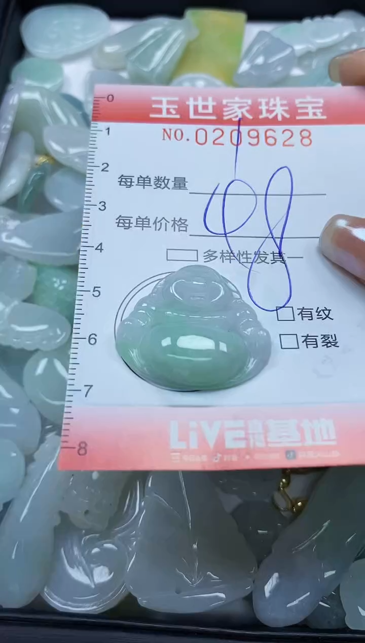 【闪购商品】翡翠颈饰未镶嵌闪购0209628