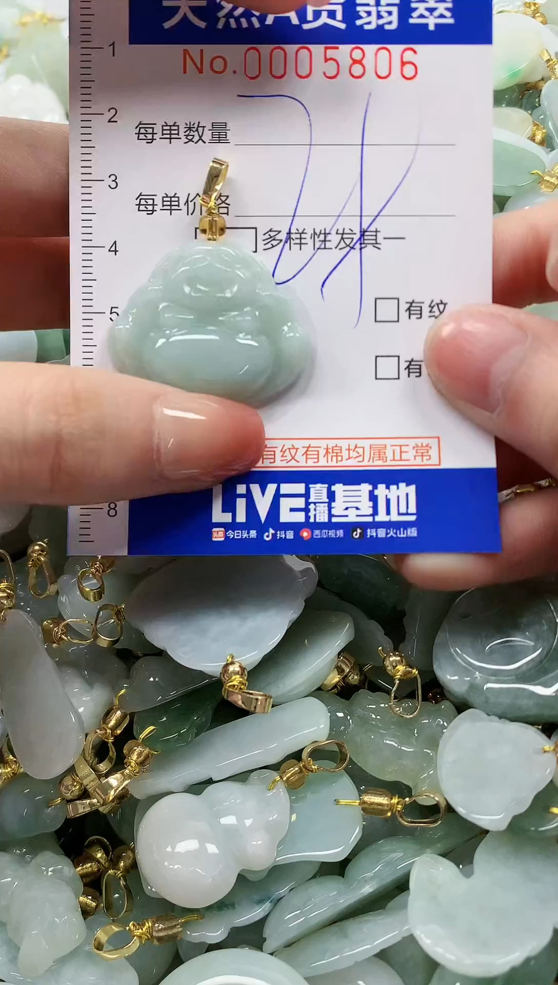 颈饰未镶嵌翡翠纯天然a货翡翠