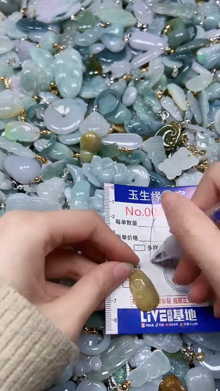 【闪购商品】翡翠颈饰未镶嵌闪购00000248