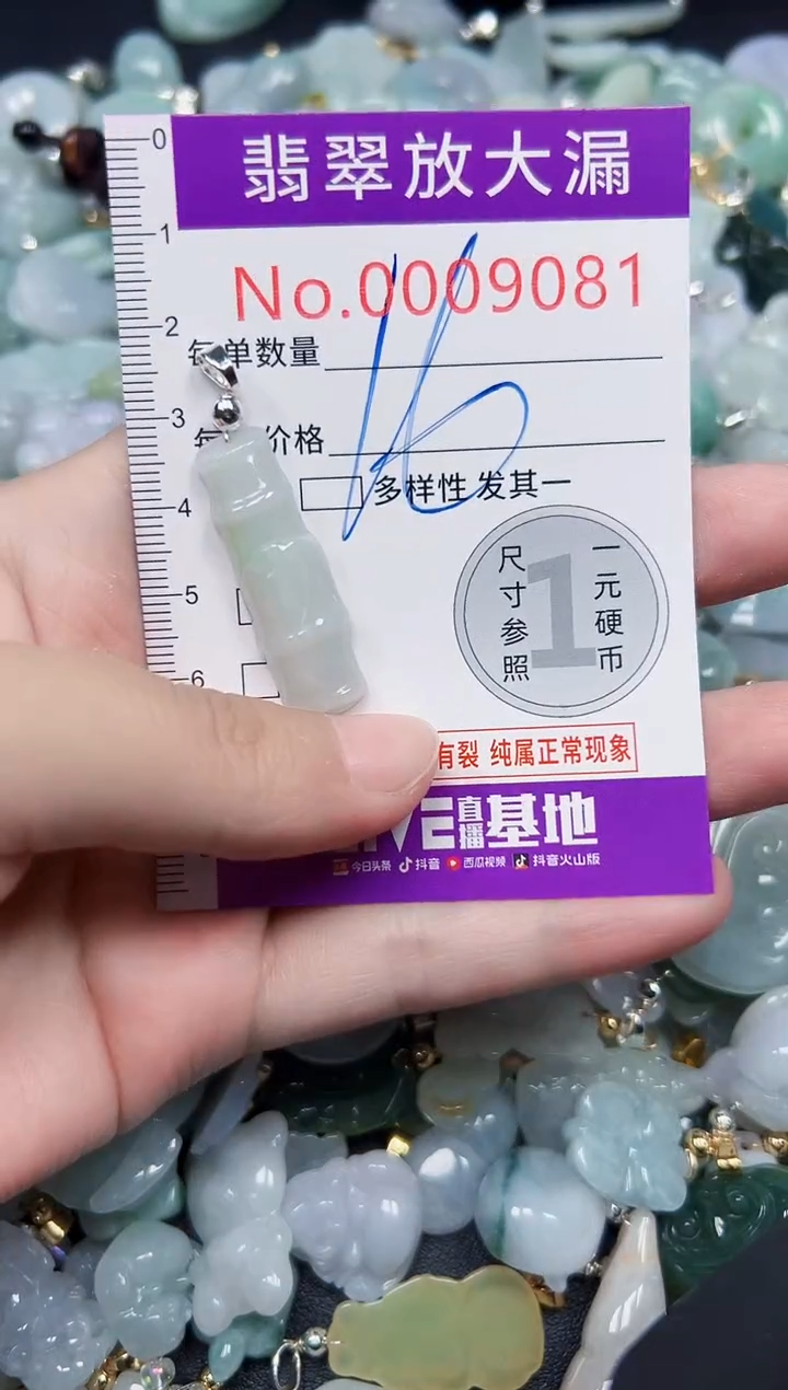 颈饰未镶嵌翡翠9081