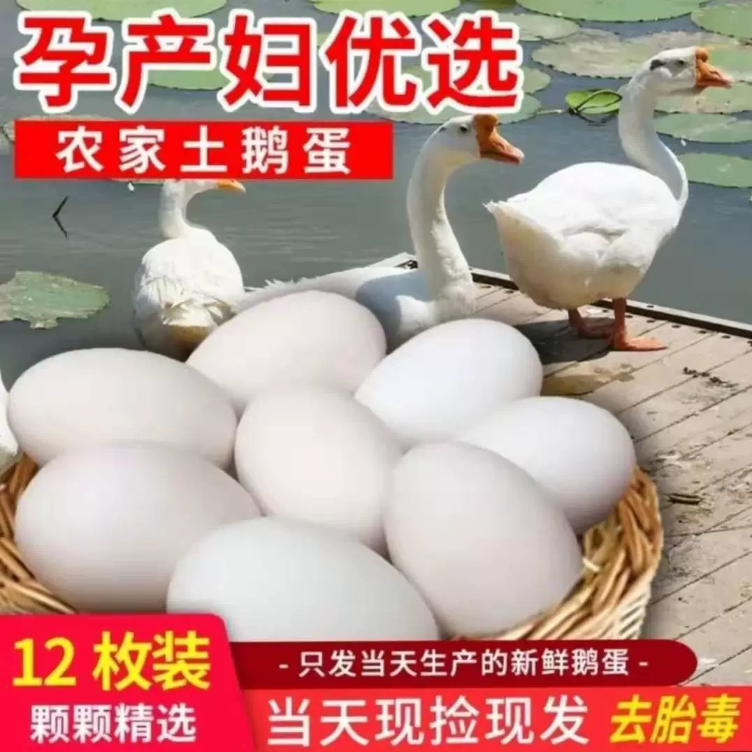 新鲜生大鹅蛋湖里散养放养大鹅12枚包邮到家孕妇优选
