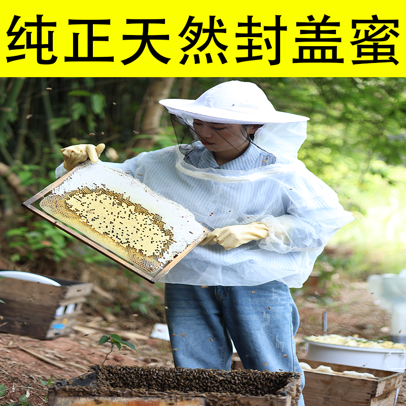 纯正天然封盖蜜农村自产无添加中华蜂蜂蜜