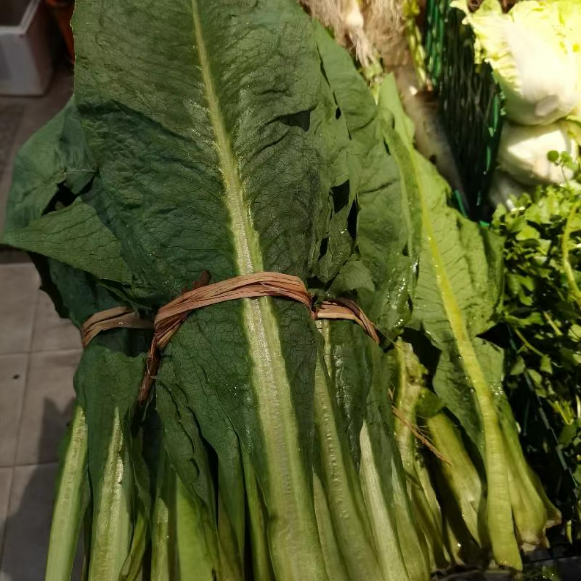 高州新鲜麦菜约450g~500g/份