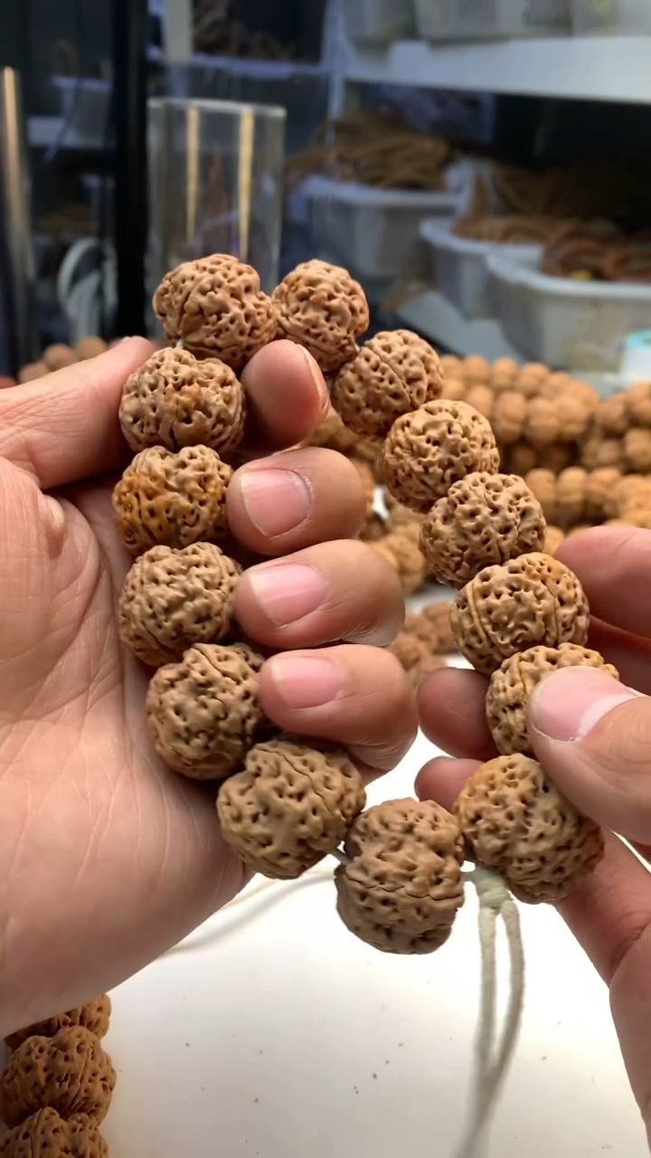 【闪购商品】金刚菩提吊坠8255555555