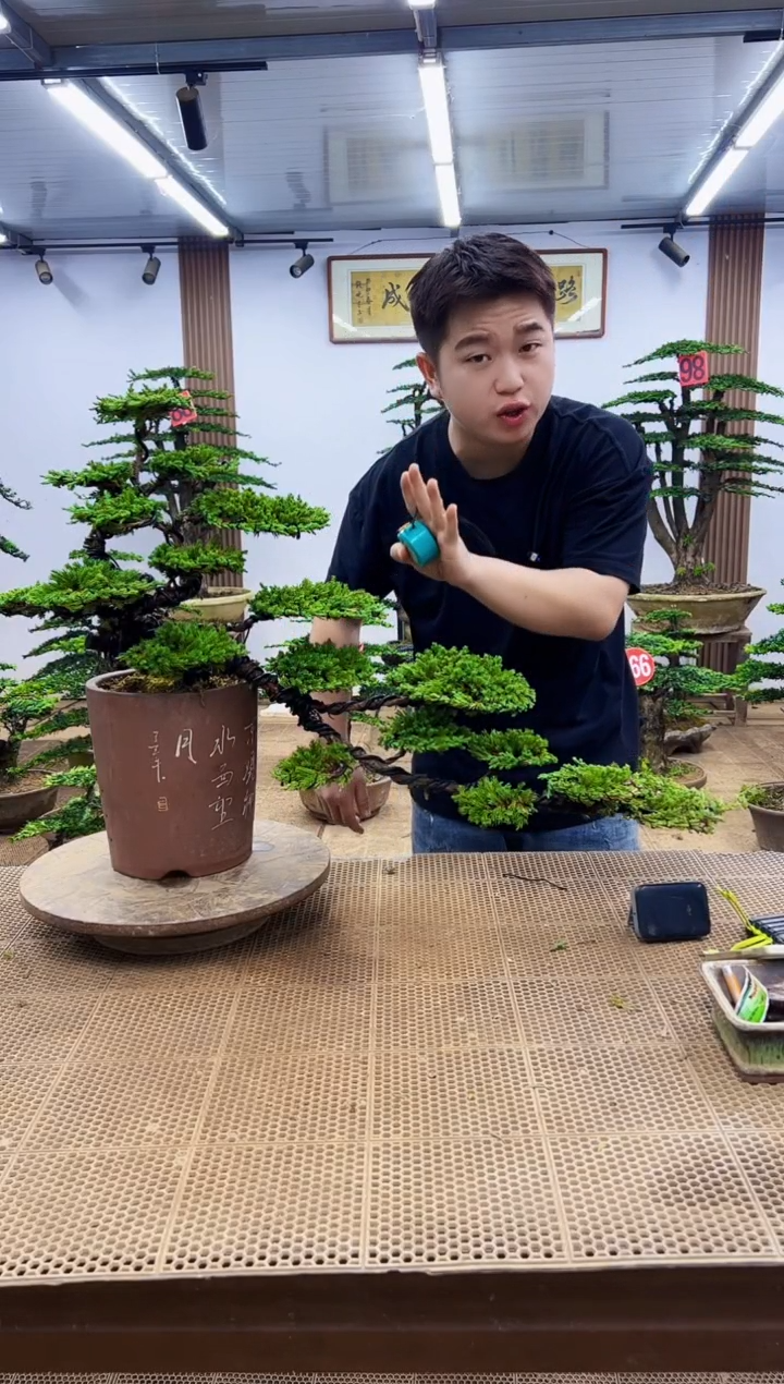 无花朵一物一拍，所见即所得