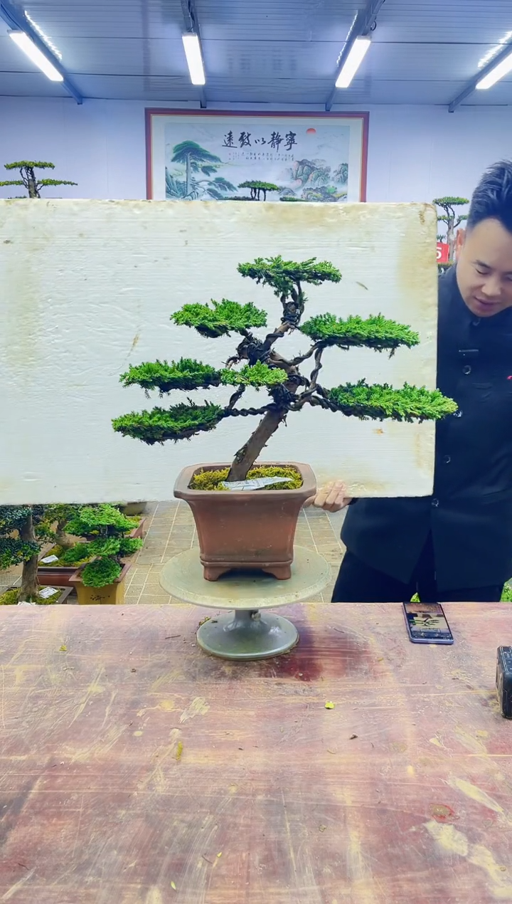 【闪购商品】一物一拍，所见即所得