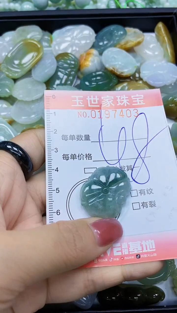 【闪购商品】翡翠颈饰未镶嵌闪购0197403